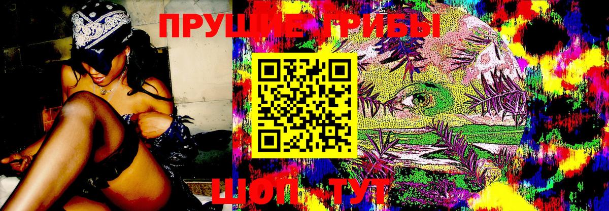 Южно-Сахалинск  Галлюциногенные грибы Psilocybine cubensis  Вход с VPN  Галлюциногенные грибы Psilocybe 