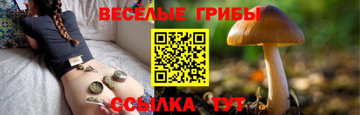 Галлюциногенные грибы Psilocybine cubensis Южно-Сахалинск